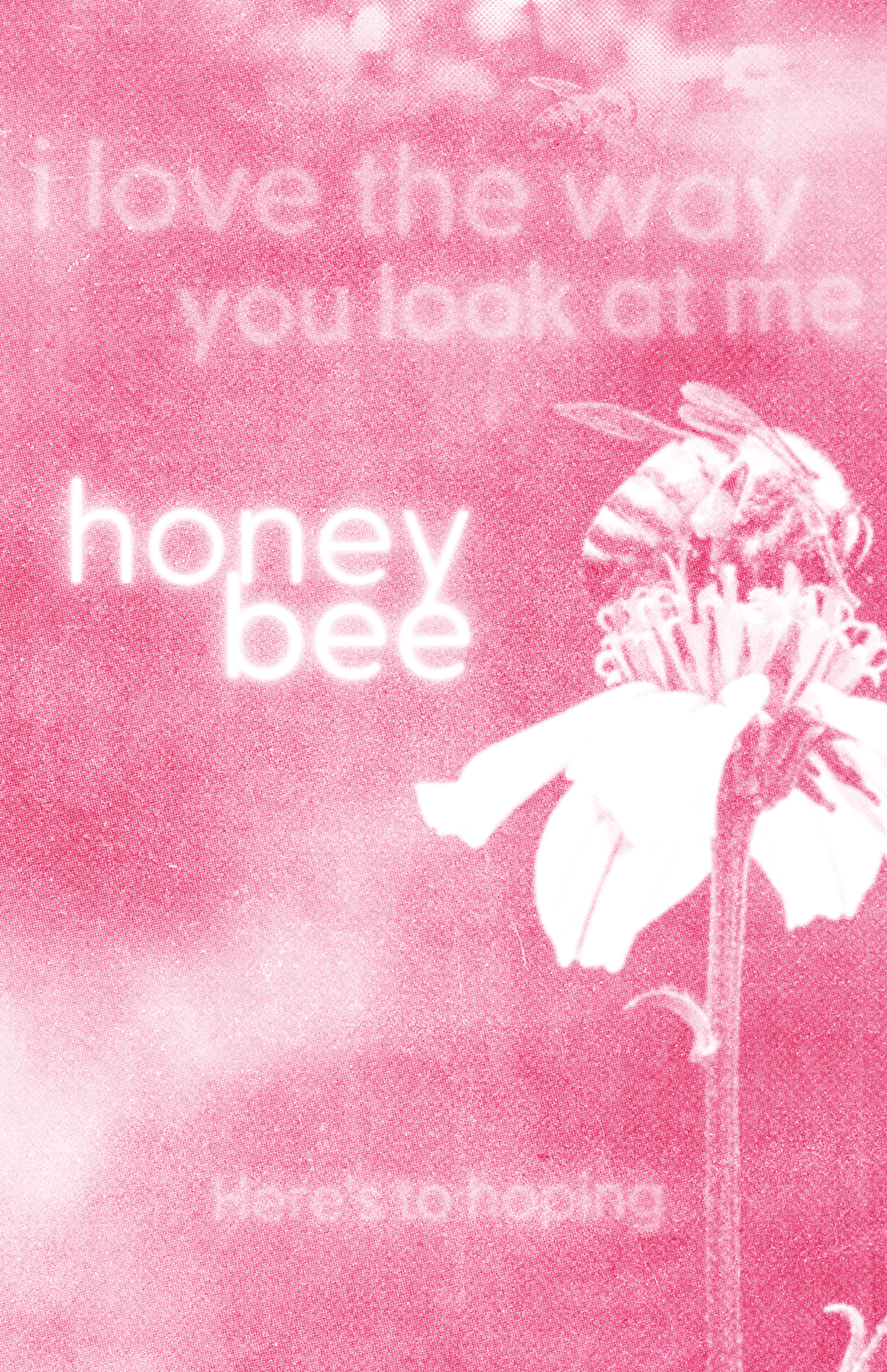 Poster 3